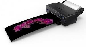 Epson SureColor SC-P900 Printer - 17in